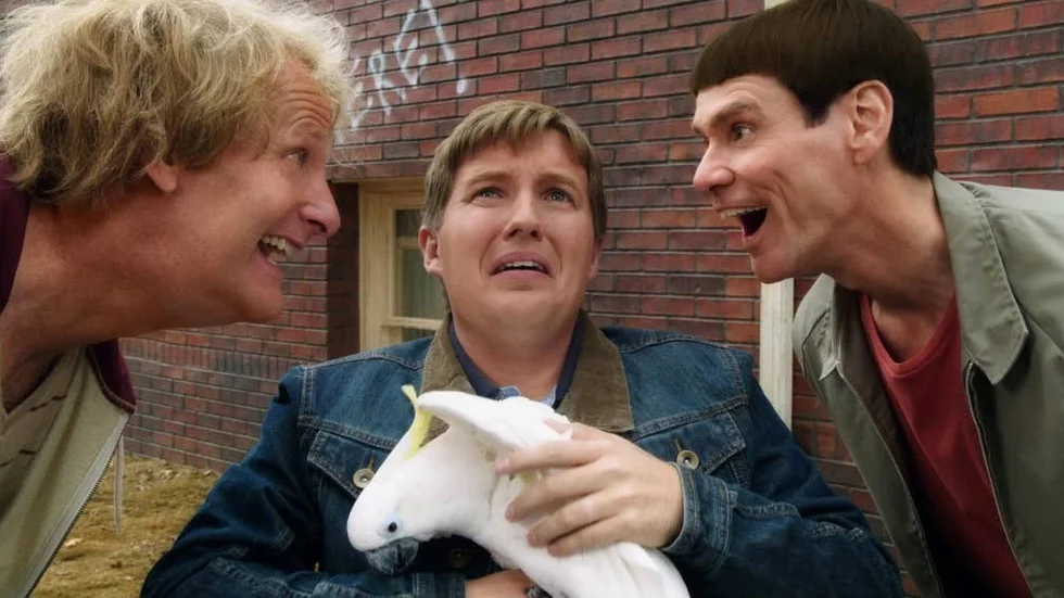 Brady Bluhm var tio år när hans spelade den blinde grannpojken Billy i "Dum och dummare". Nu återvänder han som vuxen i uppföljaren, där Jeff Daniels och Jim Carrey återigen spelar det korkade radarparet Harry och Lloyd.
Foto: Noble Entertainment