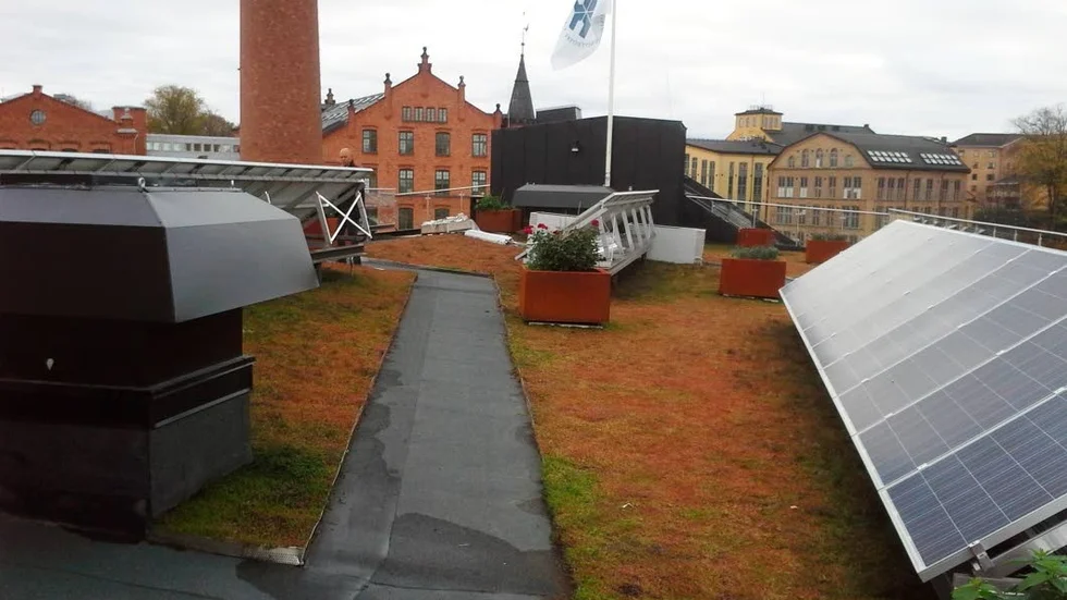 Taket. Här finns både växter och solceller. Kanske också så småningom en biodling...