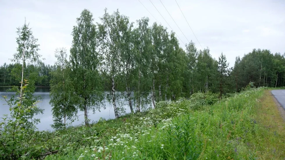 Enligt Piteå kommun röjdes gång- och cykelstråket för att människor ska känna sig trygga. 
"Gång- och cykelvägen skulle röjas efter önskemål som kommit in", säger Helén Eriksson, på Piteå kommun.