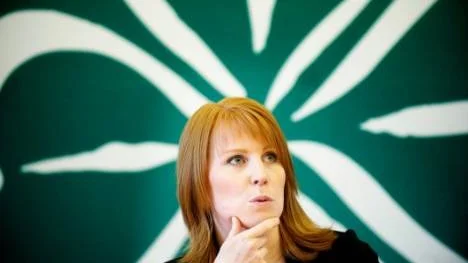 Det kunde blivit en riktigt bra vecka för Annie Lööf. Det blev det inte.