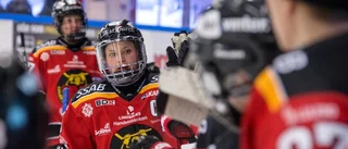 Luleå/MSSK:s prishöjning upprör