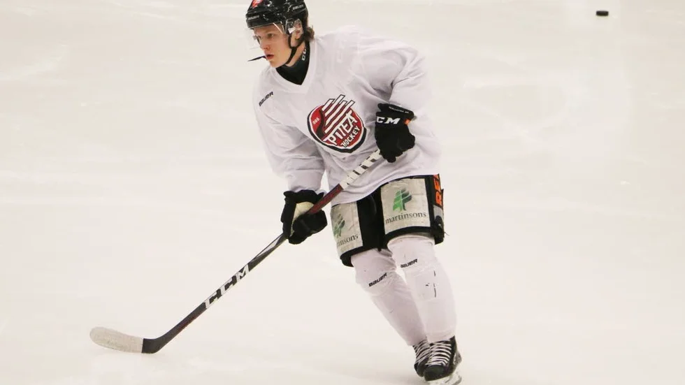 Linus Hedman, 18 år, har bidragit med hårt jobb och poäng till Piteå Hockey. (Arkivbild)