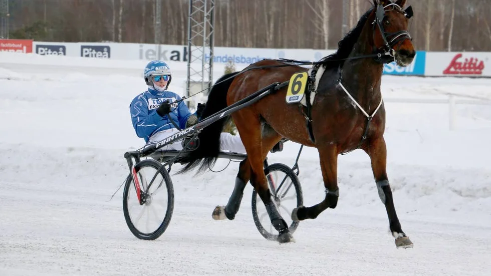 Hagntoy med Rikard N Skoglund under defileringen efter V65-1.
