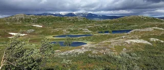 80 anmälda till nytt terränglopp