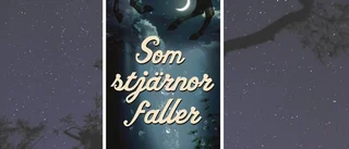Boktips: Omtumlande kärlekshistoria