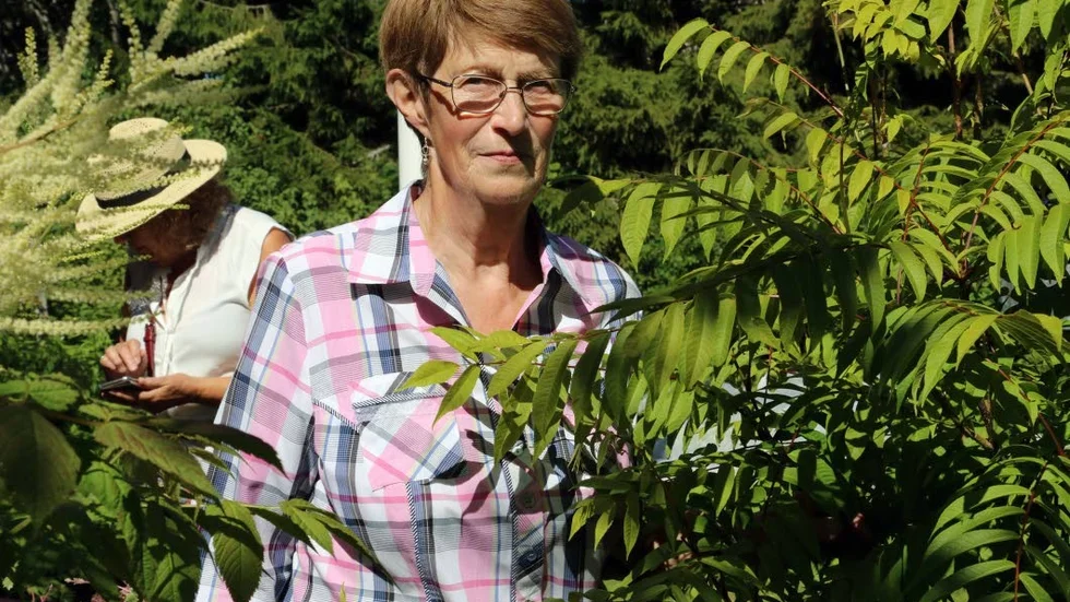 Anita Andersson har utvecklat en vacker trädgård vid Ollsgatan i Norrfjärden.