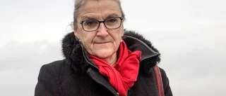 Rundgång i Sjöbodanprojektet