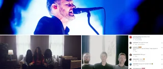 Avslöjandet: Joakim Berg med i hemlig poptrio med Anna Ternheim – släpper ny musik: "Kunnat jobba helt ostört"