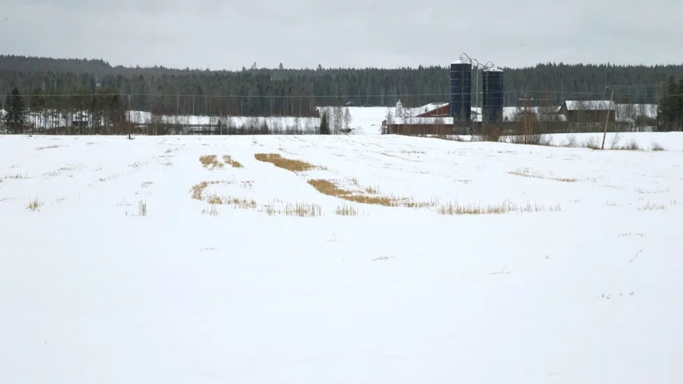 Dålig. Situationen med sönderkörda åkrar är påtaglig särskilt i år när snötillgången är dålig. På sina håll nästintill obefintlig.