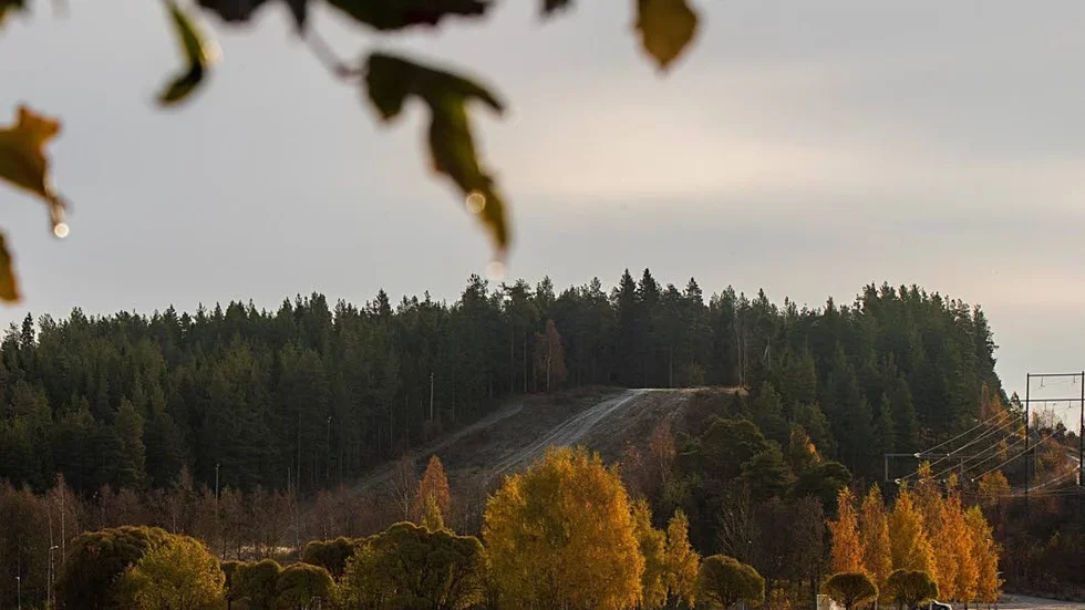 När skidlöpareföreningen i Piteå bildades 1898 förlades skidverksamheten till Holmstedtsberget (nuvarande Strömlida).