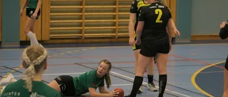 Målrekord för Norrfjärden