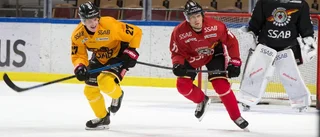 Luleå Hockeys 3D-hall ska locka mer publik