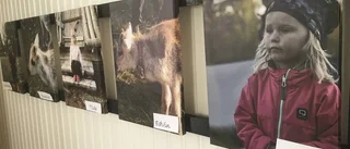 Sameföreningen laddar för jubileum