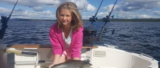 Abborren på hugget