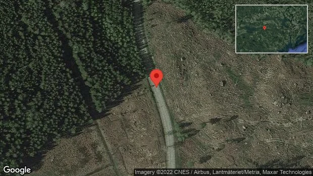 Fallna träd skapar problem i trafiken på väg 694