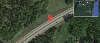 Rådjur på vägen