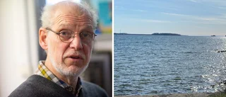 Nu anordnas manifestationen för sjöns miljö igen: "Vi tycker att Vättern är i fara" 