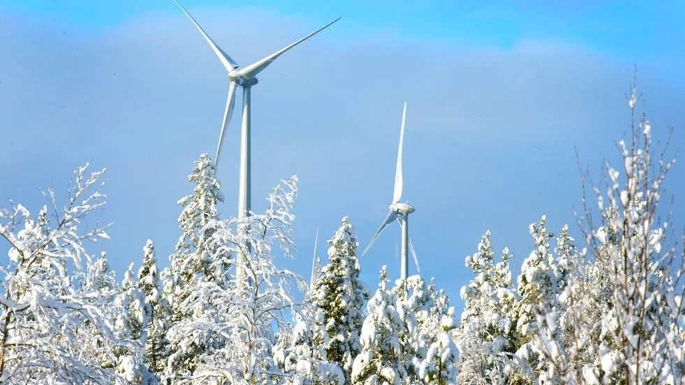 Energimyndigheten föreslår fler elcertifikat på marknaden för att stimulera till mer förnyelsebar energi som vindkraft. ”Fler elcertifikat kan öka lönsamheten”, säger Svevinds operative chef Mikael Kyrk.