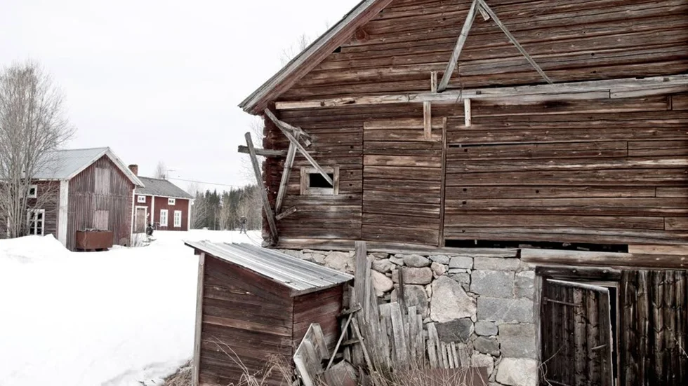 Här, på det här lilla taket, stod en gärningsman och höll uppsikt över gården. Han sågs fly in genom hålet i väggen då en granne närmade sig.