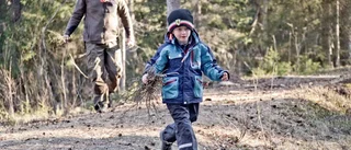 På upptäcktsfärd i skogen