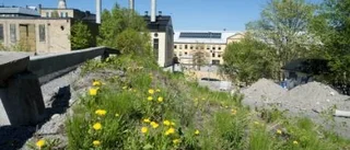 Nya parker ett måste när Norrköping tätas