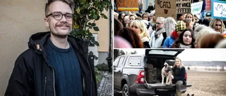 Efter #metoo – så har det gått för de lokala uppropen: "Det känns lite dystert"