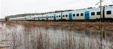 Årstabor tvingas sanera källaren