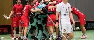 Wibax värvar 17-årig talang