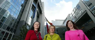 Luleåbon blev en av Europaparlamentets mäktigaste