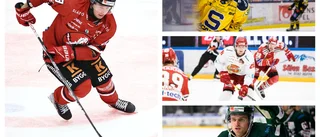 Jag kan inte tippa på ett annat sätt än att Hästen missar slutspel