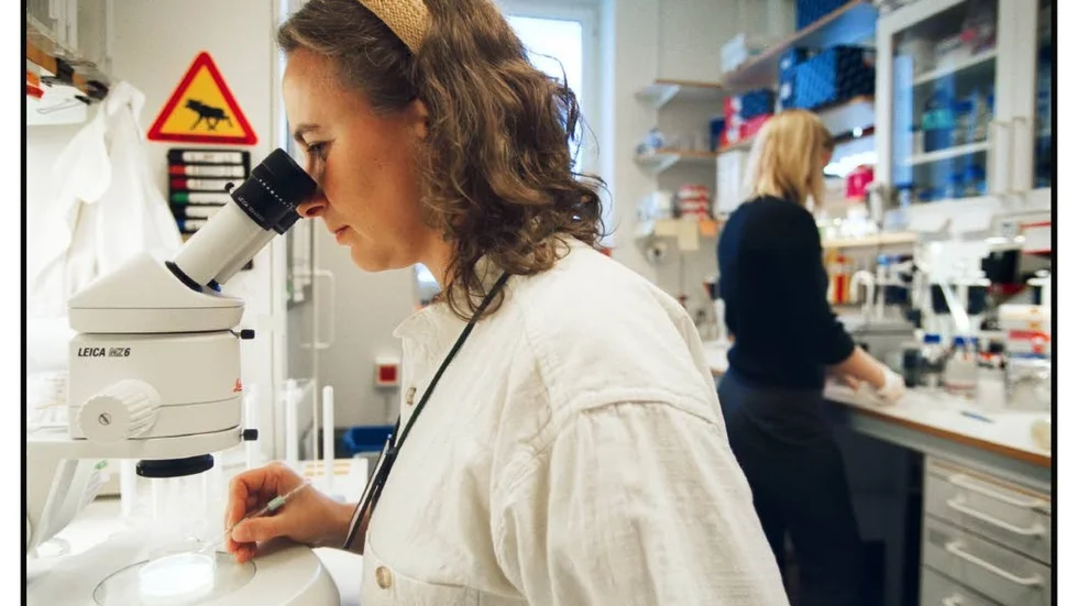 Labb. Vid misstänkt tuberkulos skickas upphostningsprov till laboratorium.