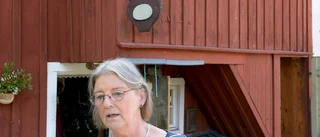 Färre turistade hemma i år