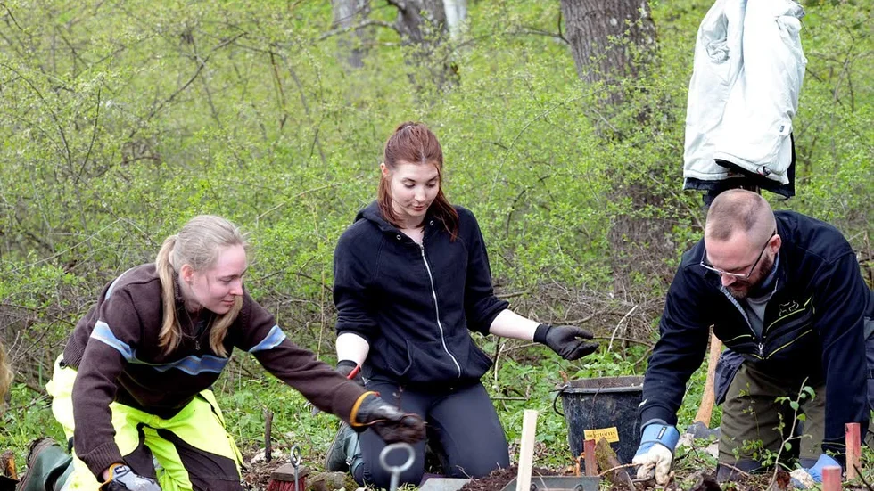 Gräver. Sara Malmström, Sofia Johansson och Jonas Nordmark är några av de studenter som deltar i utgrävningen.
