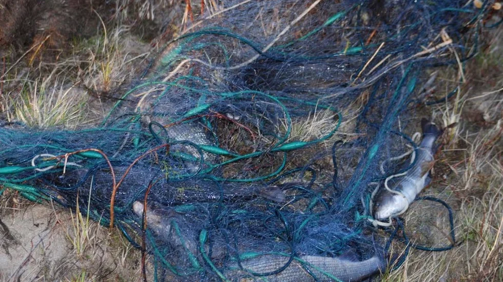 Kustbevakningen har tagit ett fiskenät i beslag och en anmälan har upprättats.