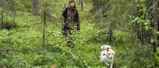 Mångmiljardbelopp investerat i grön skogsobligation