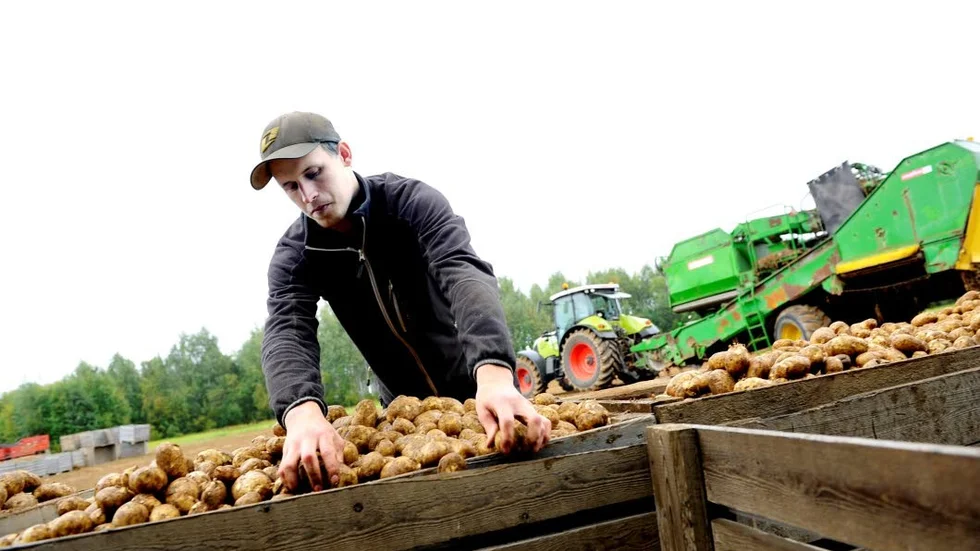 Niclas Källhammer, SUnderbyns potatis.