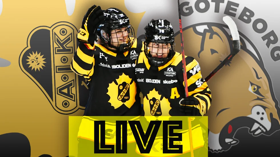 Skellefteå AIK är en matchserie från spel i SDHL. Når man hela vägen?