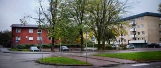 Protester mot sexvåningshus