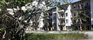 Utan lån i Luthagen