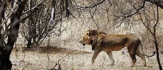 Tanzania - ett möte som krockar