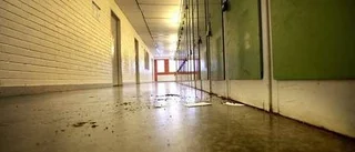 Privata städbolag får sämst betyg