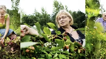 Fr v: Anna Forslund, Galina Krupina och Anders Appelquist.
