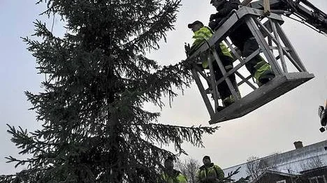 Årets första julgran på plats. På onsdagen började arbetare från kommunens enhet förGata-Park uppsättningen av årets julgranar.