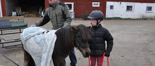 Här gäller att hålla tömmarna rätt i hand