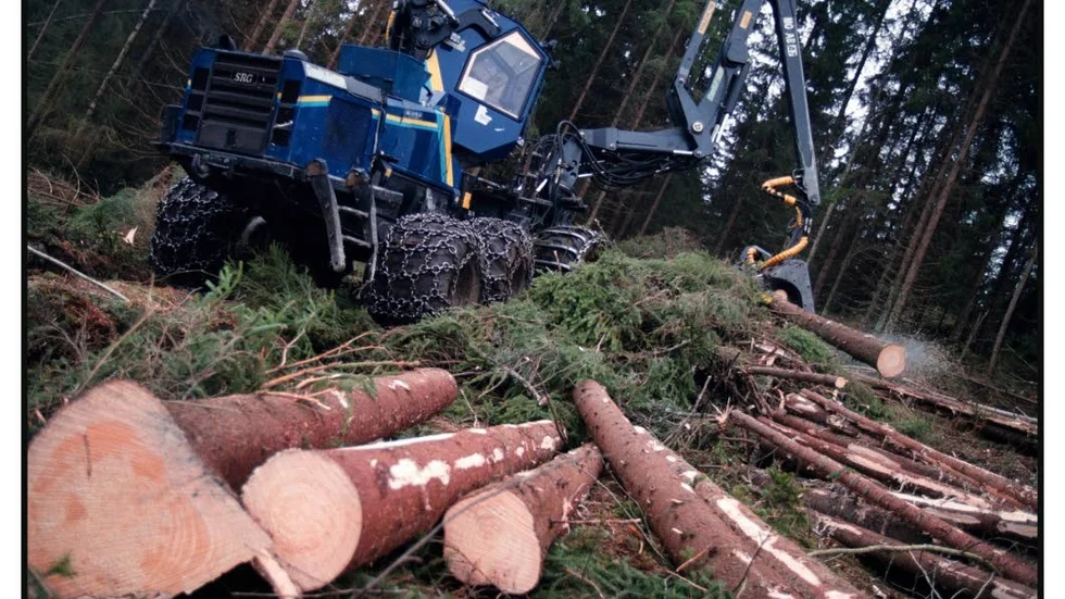 Skogsbruk.  Hur mycket skog som avverkas i Sverige är inte en fråga för EU.