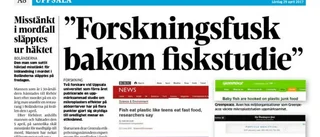 Kommenterar inte fuskutredning