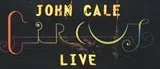 John Cale gör musik med intensitet