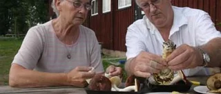 Expert gav råd inför svamputflykten
