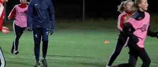 Experten: De vinner damallsvenskan