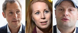 Pelling: "Bra för Sverige med liberal politik"